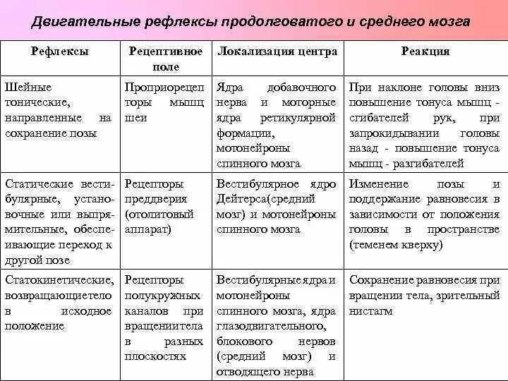 Практическая работа рефлексы. Рефлексы и функции продолговатого мозга таблица. Статические и статокинетические рефлексы таблица. Рефлексы ствола мозга таблица. Позные рефлексы ствола мозга таблица.