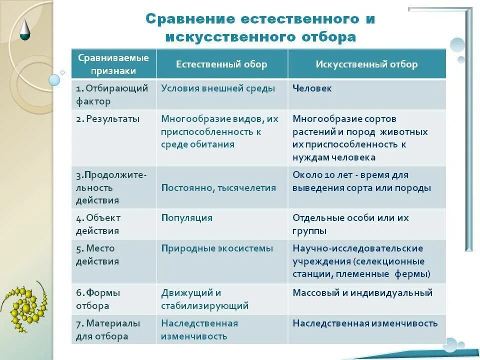 Сравнительная характеристика естественных