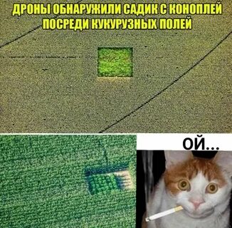 Мемы картинки с надписями до слез