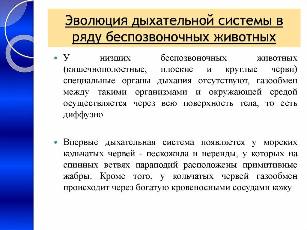 Эволюция дыхательной системы беспозвоночных животных. Филогенез дыхательной системы у беспозвоночных животных. Дыхательная система низших беспозвоночных. Эволюция систем органов животных дыхательная система.