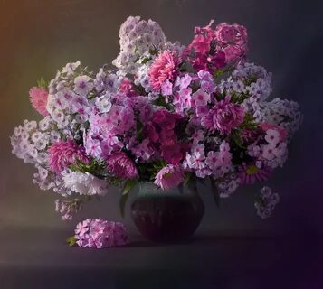 Флоксы букет