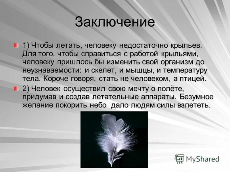 Почему летит птица