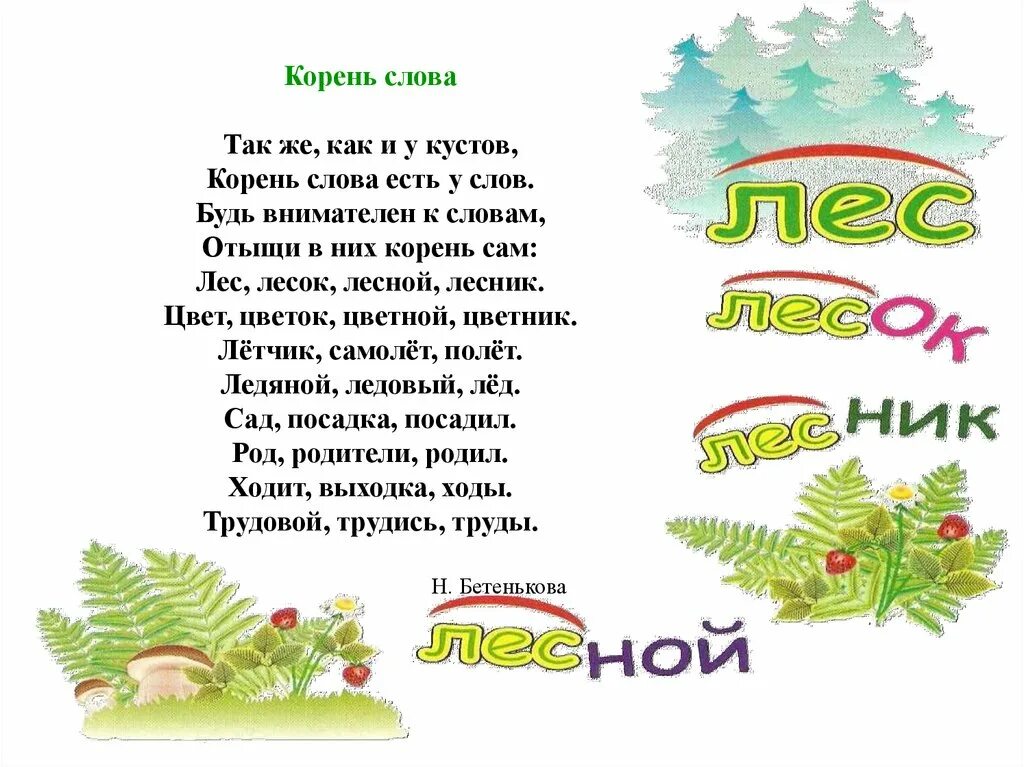 Фотография корень слова. Фотография корень слова