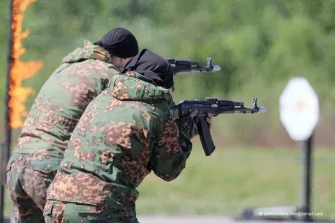 Отряд пересвет