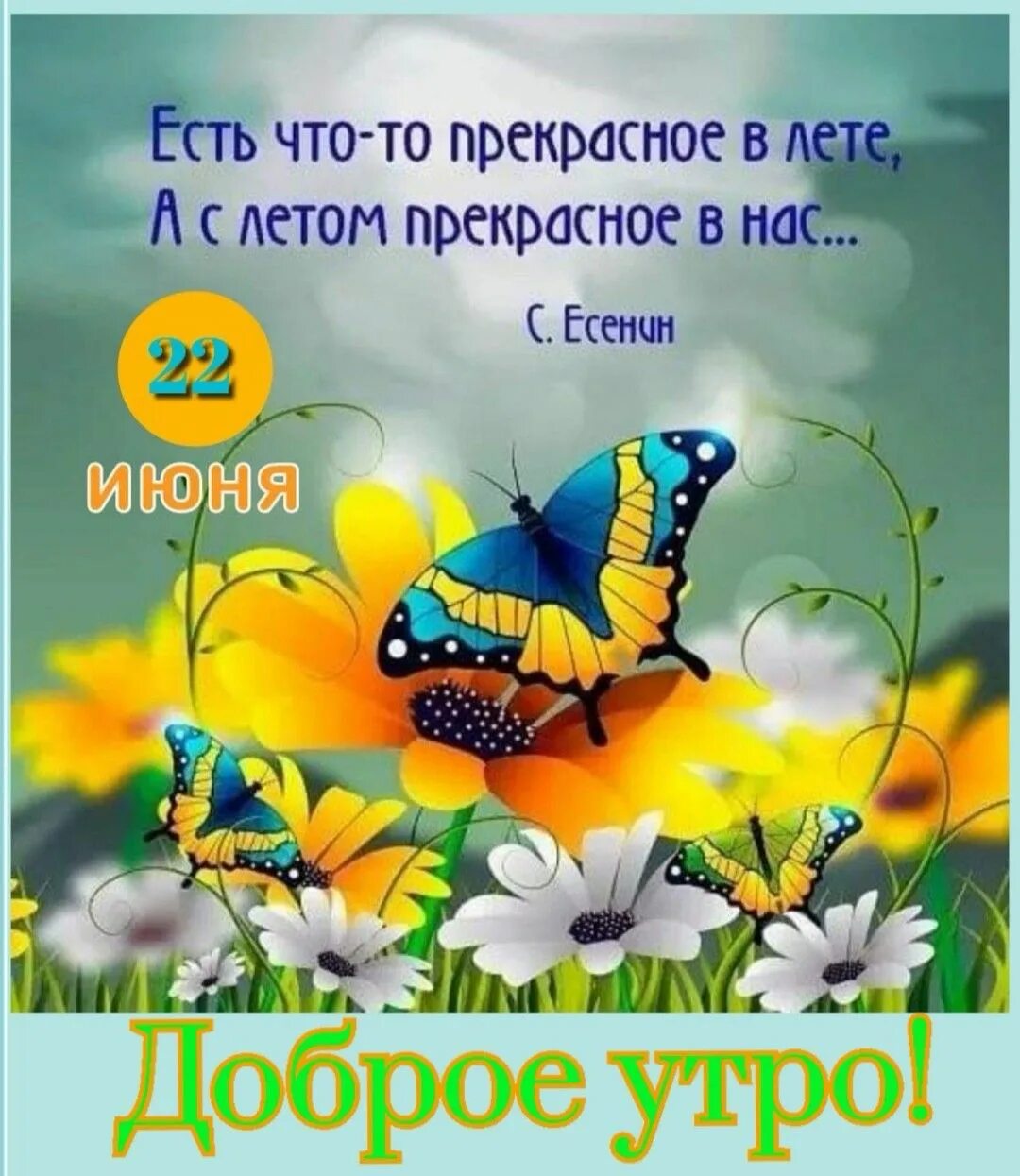 Стих про лето что такое лето. Сочинение лето прекрасная пора. Лето это прекрасное время года. Летняя природа. Лето прекрасная пора для детей.
