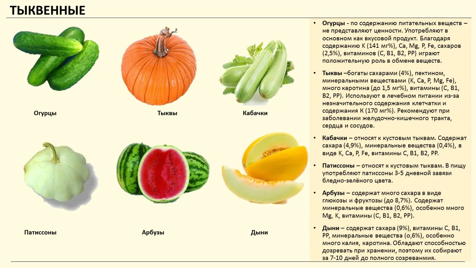 К какой культурной группе относится огурец. Тыквенные овощи классификация. Тыквенные овощи Товароведение. Витамины в кабачке. Тыквенные томатные овощи классификация.