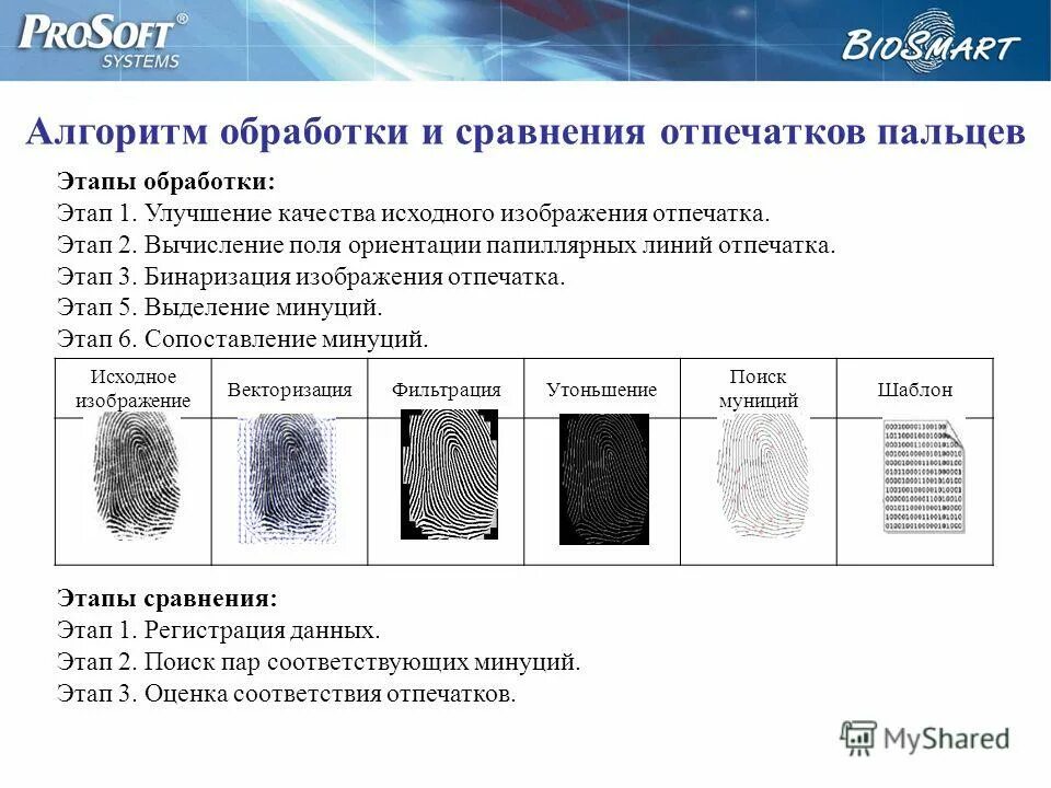 отпечаток идентификация. сравнение отпечатков пальцев. совпадение отпечатков. сравнение отпечатков пальцев. дактилоскопия папиллярные линии.