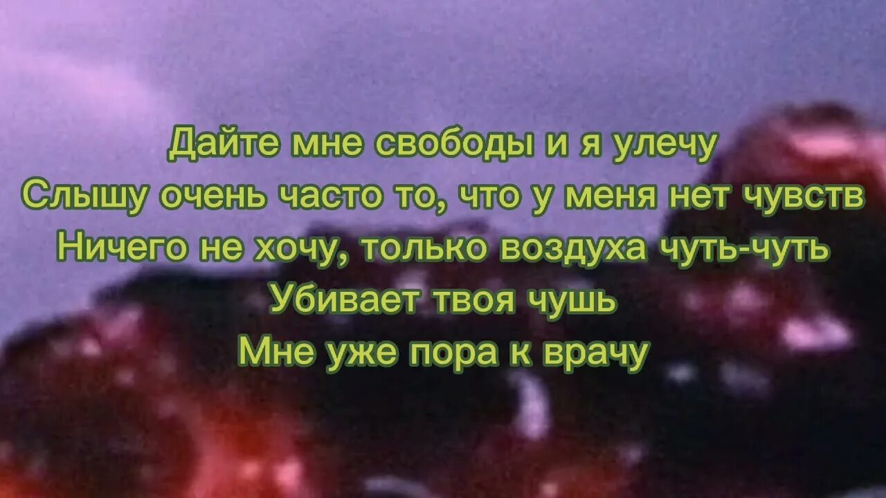 Паранойя текст. Песня паранойя текст песни. Паранойя Xarista текст. Дайте мне свободы и я улечу слышу очень часто то что у меня нет чувств.