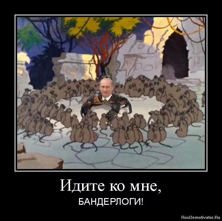 Бандар лог. Приколы про бандерлогов. Идите ко мне бандерлоги цитата. Вы слышите меня бандерлоги.