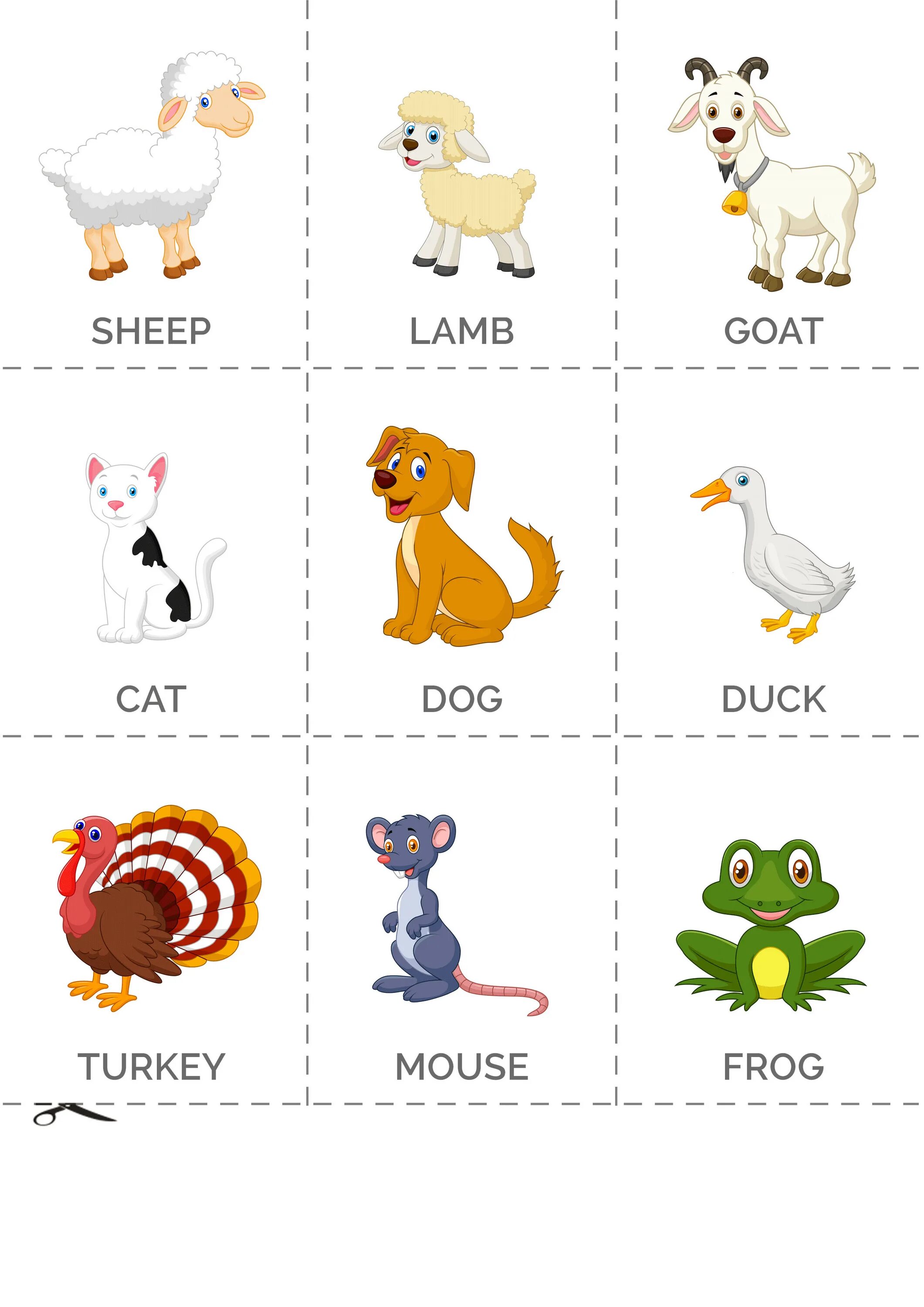 Домашние животные на англ. Животные на английском для детей. Карточки с животными для детей. Карточки животных на английском. Карточки английский язык для детейb.