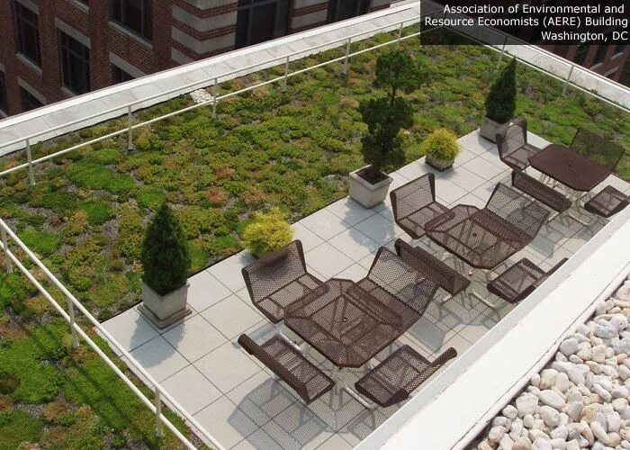 Грин-руф плоские кровли. Эксплуатируемая плоская кровля green roof генплан. Грин райз озеленение. Эксплуатируемая плоская кровля green roof. Зеленая кровля.