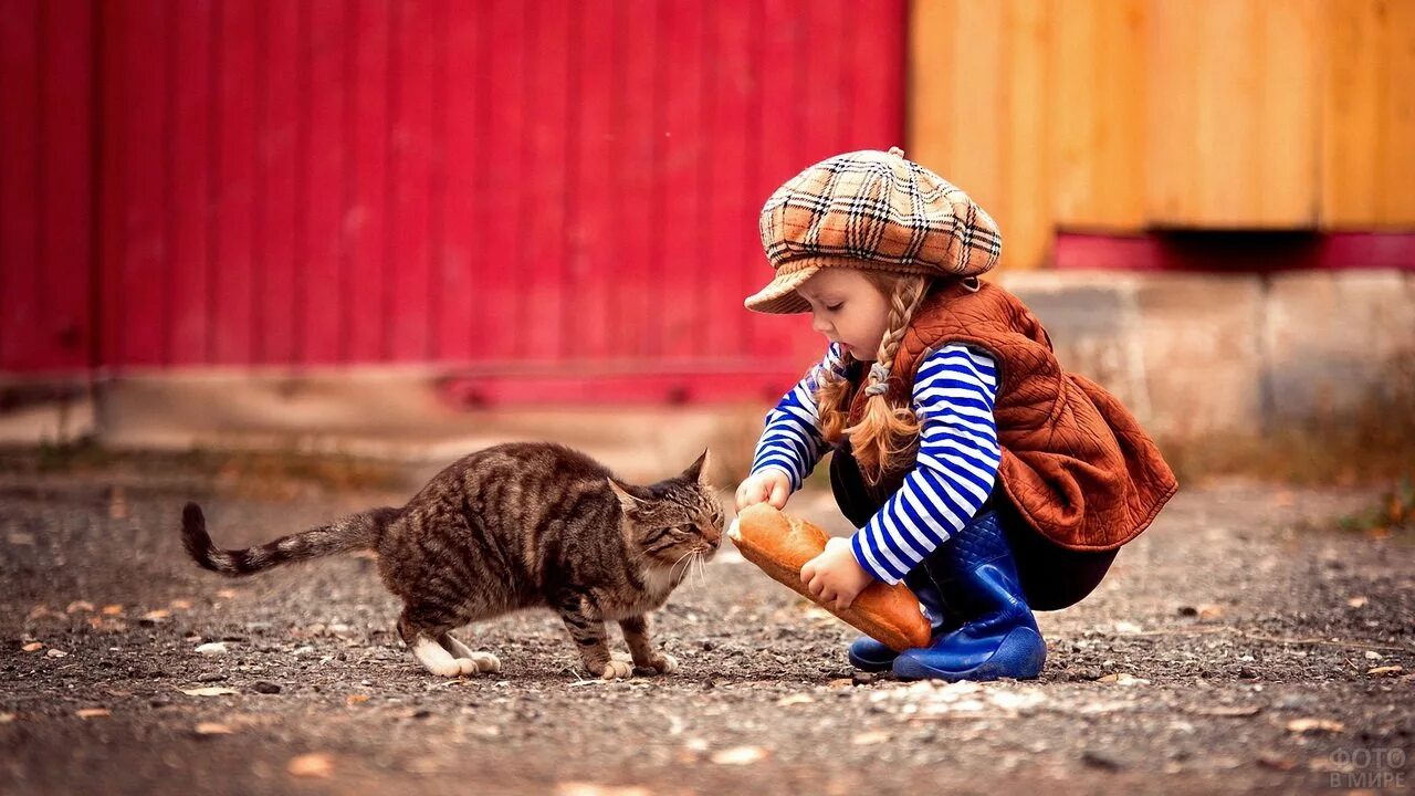 Давать котенка девочку