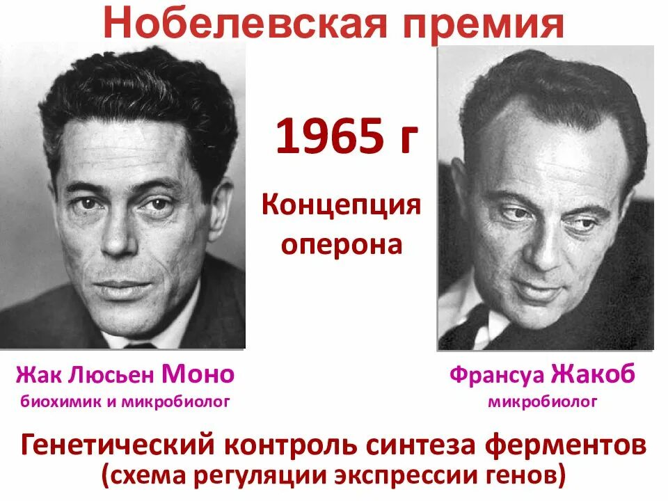 Стр моно. Ф жакоб. жакоб и моно ученые. франсуа жакоб биохимик. жакоб моно львов.
