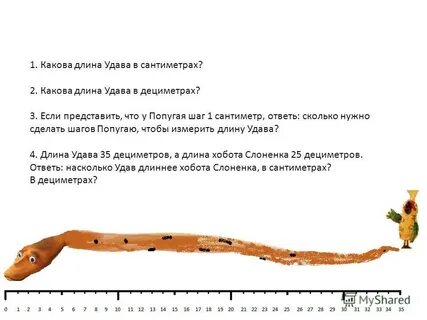 Удав длиной 3 метра прополз бревно