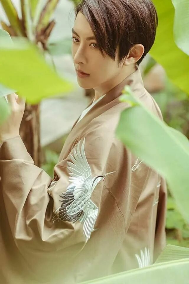 Xiao meng
