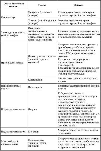 Название железы и функции железы. Эндокринные железы и их гормоны таблица. Таблица гормонов железа гормоны и функции. Эндокринные железы гормоны функции таблица. Железы внутренней секреции и гормоны таблица.