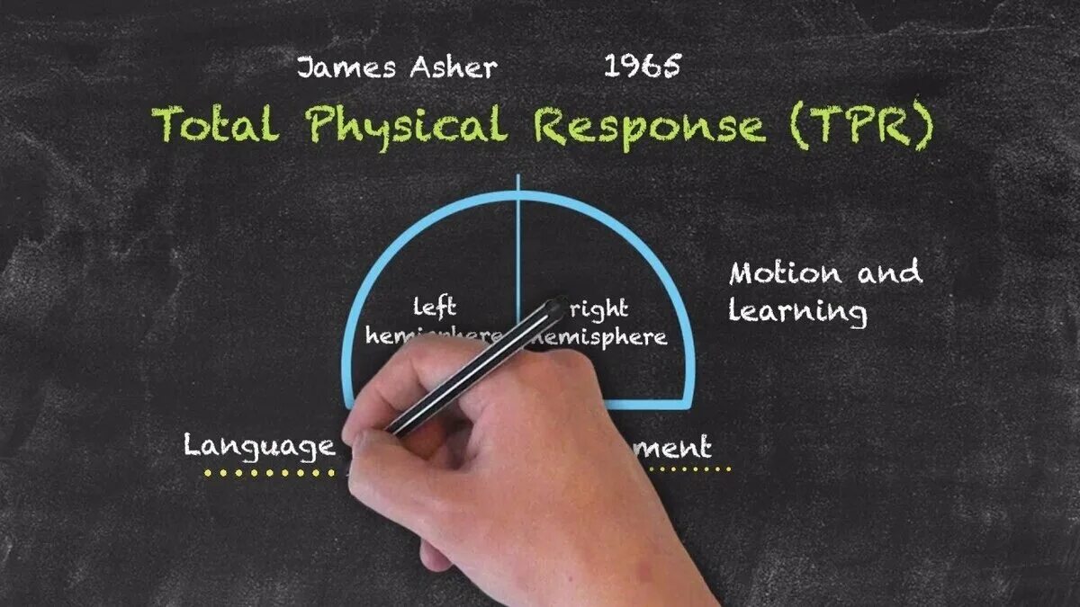 Total physical response. Метод tpr total physical response. james asher total physical response.