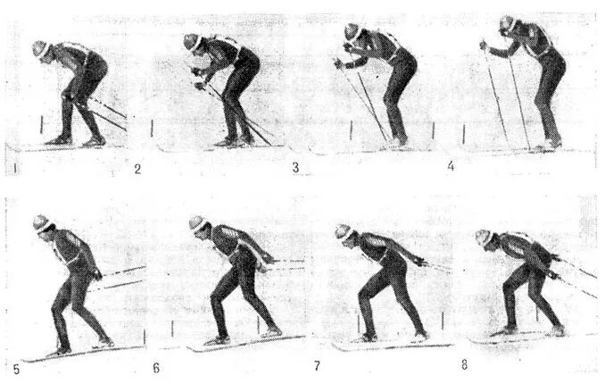 Коньковые лыжные ходы полуконьковый ход. Полуконьковый одновременный ход техника. Одновременный полуконьковый лыжный ход. Полуконьковый лыжный ход. Коньковые лыжные ходы полуконьковый ход.
