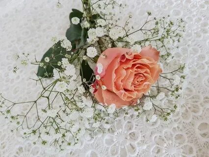 Гипсофилы с розами