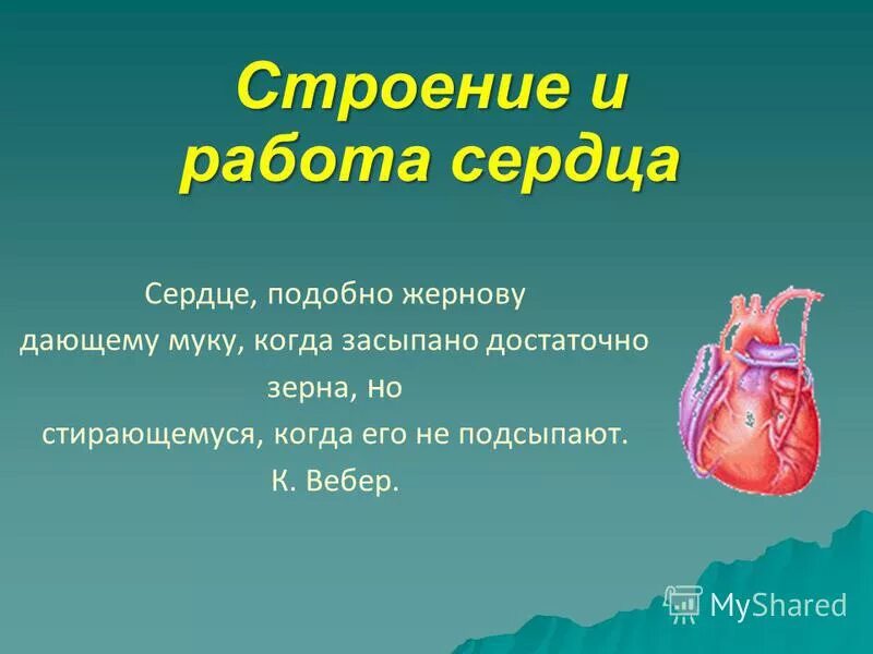 Сердце повернутое. С днем всех влюбленных приколы. На что похоже сердце. Снимок сердца. Сообщение о сердце.