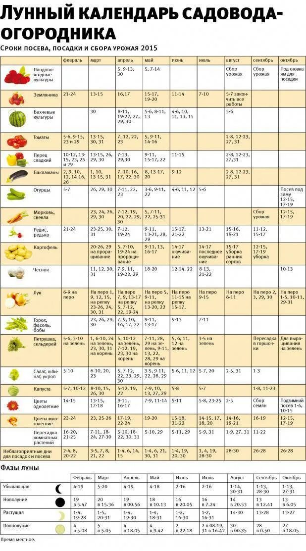 Можно сегодня садить рассаду. Удачные дни для посадки рассады в марте 2021. Посевной календарь огородника лунный календарь. Лунный календарь огородника таблица. Таблица посева семян.