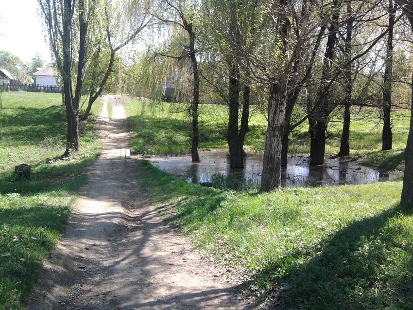 Ивановка антрацитовский. Ивановка Антрацитовский район. Ивановка Луганская область. Природа Ивановки. Ивановка Антрацитовский район Луганская область.