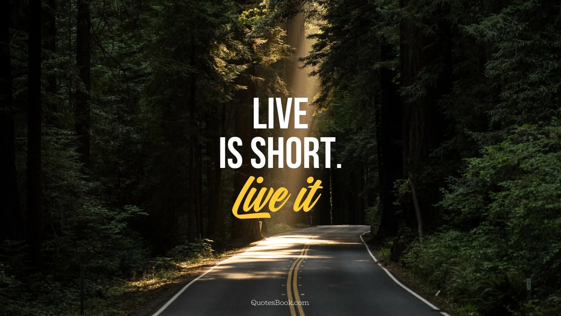 Life is unique. Обои Life is short. Life is short Live it. Life is short Live картинки. Life is short Live it картинки.