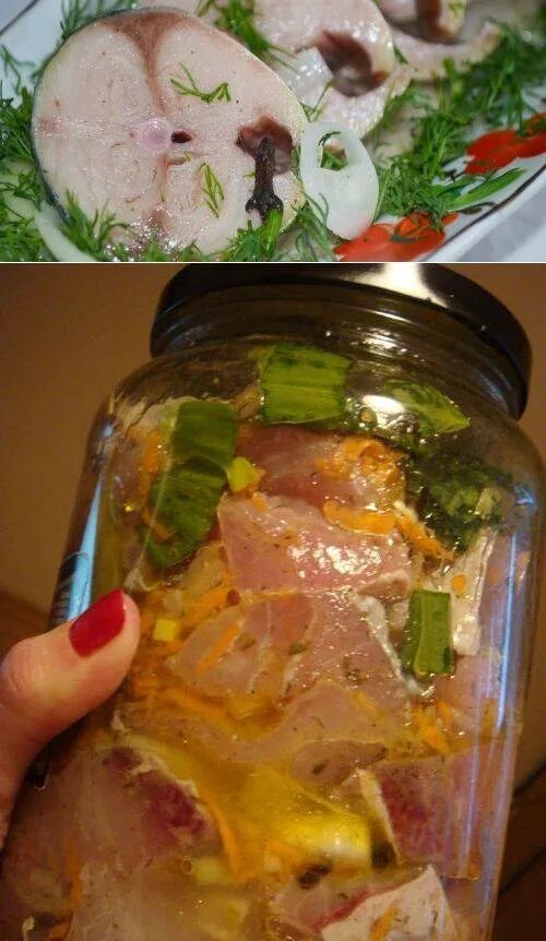 Как засолить толстолобика кусочками