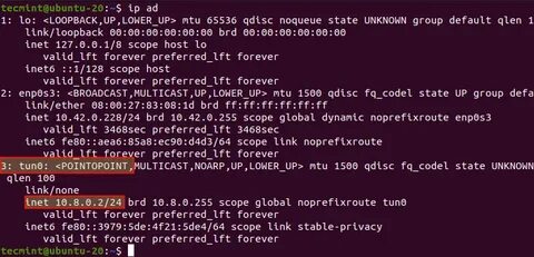 Pptp ubuntu