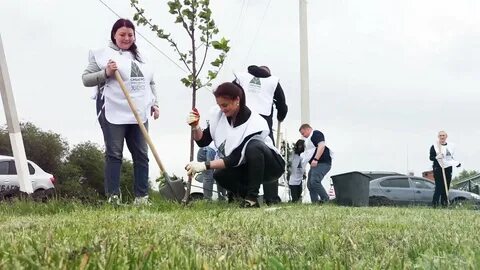 Работников окружающей среды и