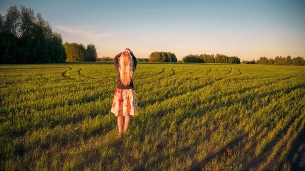 Free Images : field, meadow, wheat, prairie, morning, harvest, produce, crop, ag
