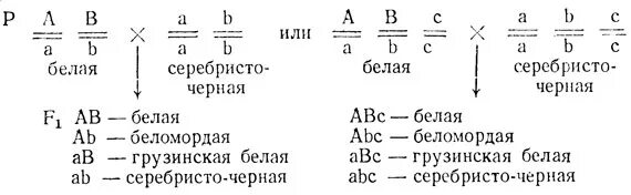 Рецессивный омега. Генетические символы и обозначения. Доминантный ген с рецессивным летальным действием. Рецессивное летальное действие Гена это.