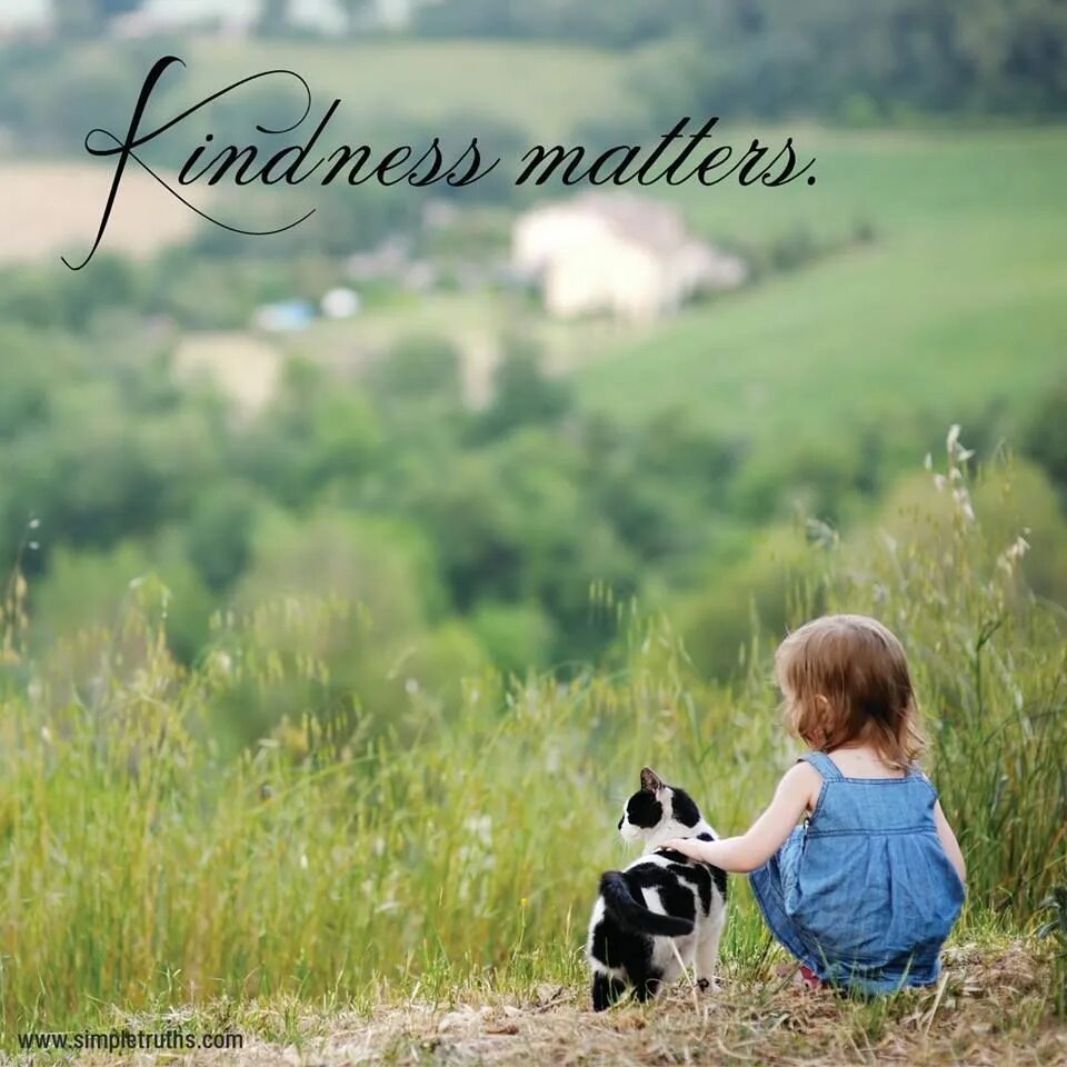 Стихи Kindness. Kindness. Quotes animals Love for animals.