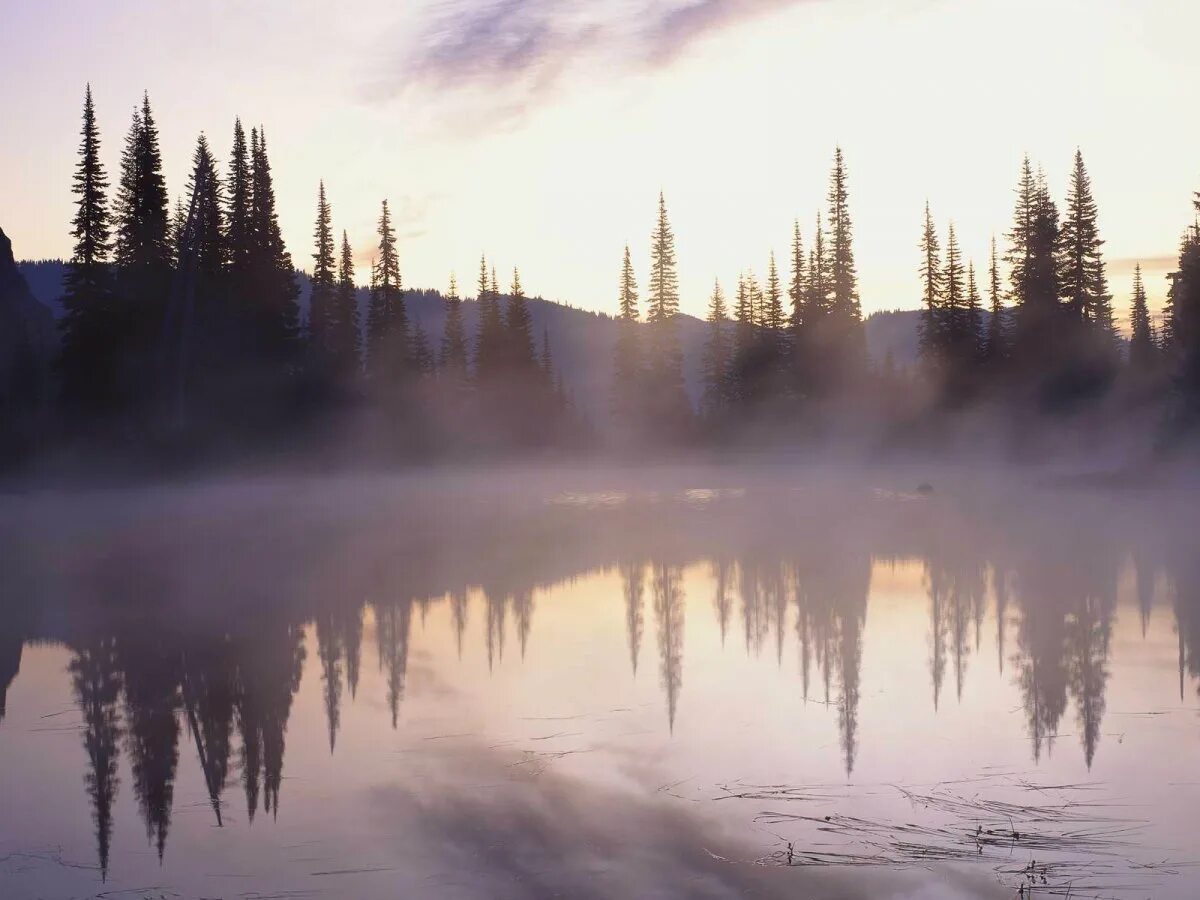 Спокойное в явлении. Лес озеро туман. Озеро в тумане. Лес река туман. Озеро в тумане Эстетика.