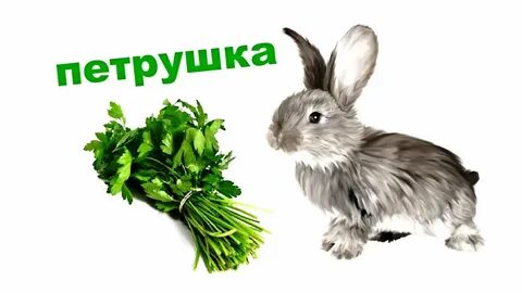 Редиску кроликам