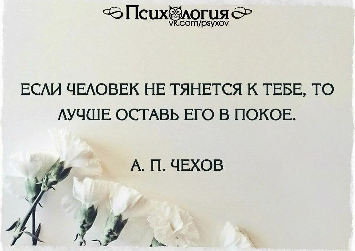 Чтобы получить нужно отдать. Цитаты про любовь. Афоризмы про гордость. Гордые люди цитаты. Нужные цитаты.