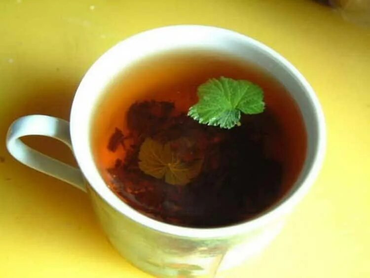 Листья малины отвар. Чай с малиновым листом. Чай смородиновый лист. Чай из листьев. Чай из смородинового листа.