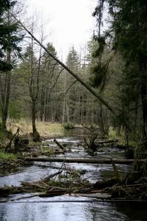 Река лита