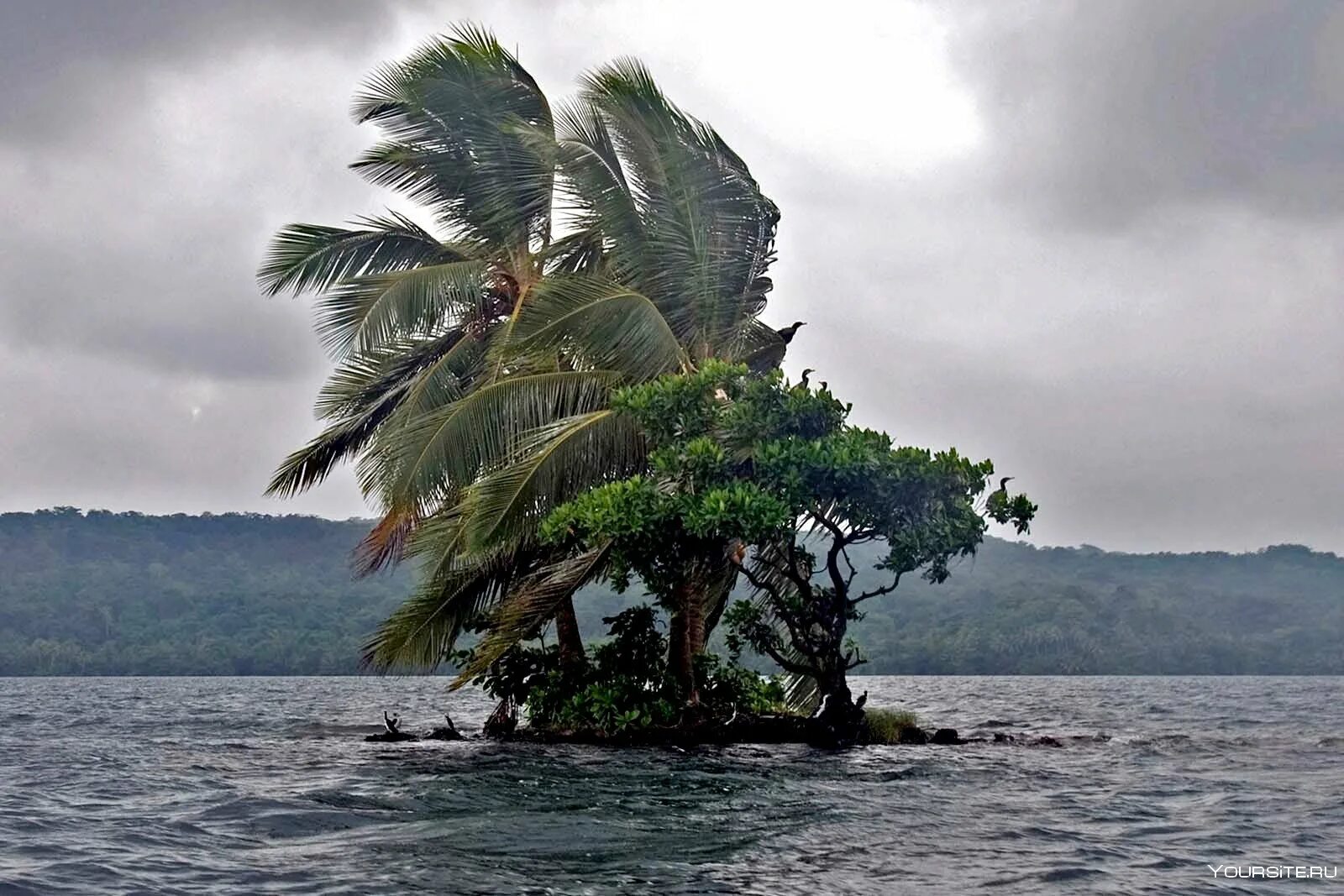 Ист-Реннелл Соломоновы острова. Тетепаре (Соломоновы острова). Реннелл (остров). Соломоновы острова климат.