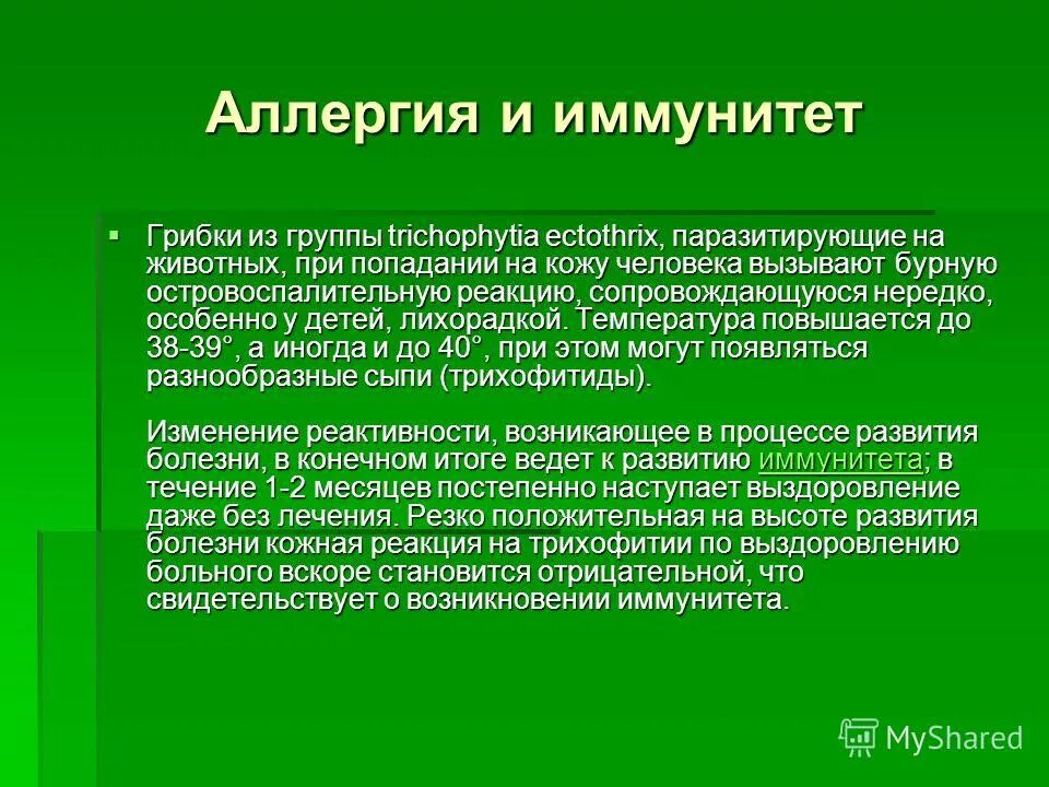 Иммунная аллергическая реакция. Отличие иммунных и аллергических реакций. Аллергия и иммунитет. Связь аллергии и иммунитета. Сходство аллергии и иммунитета.