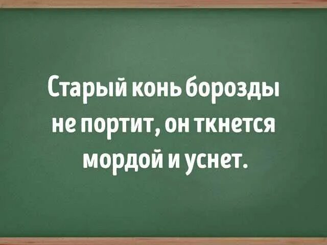 Предыдущую фразу