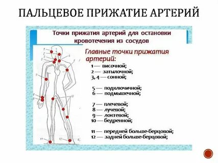 Точки остановки c