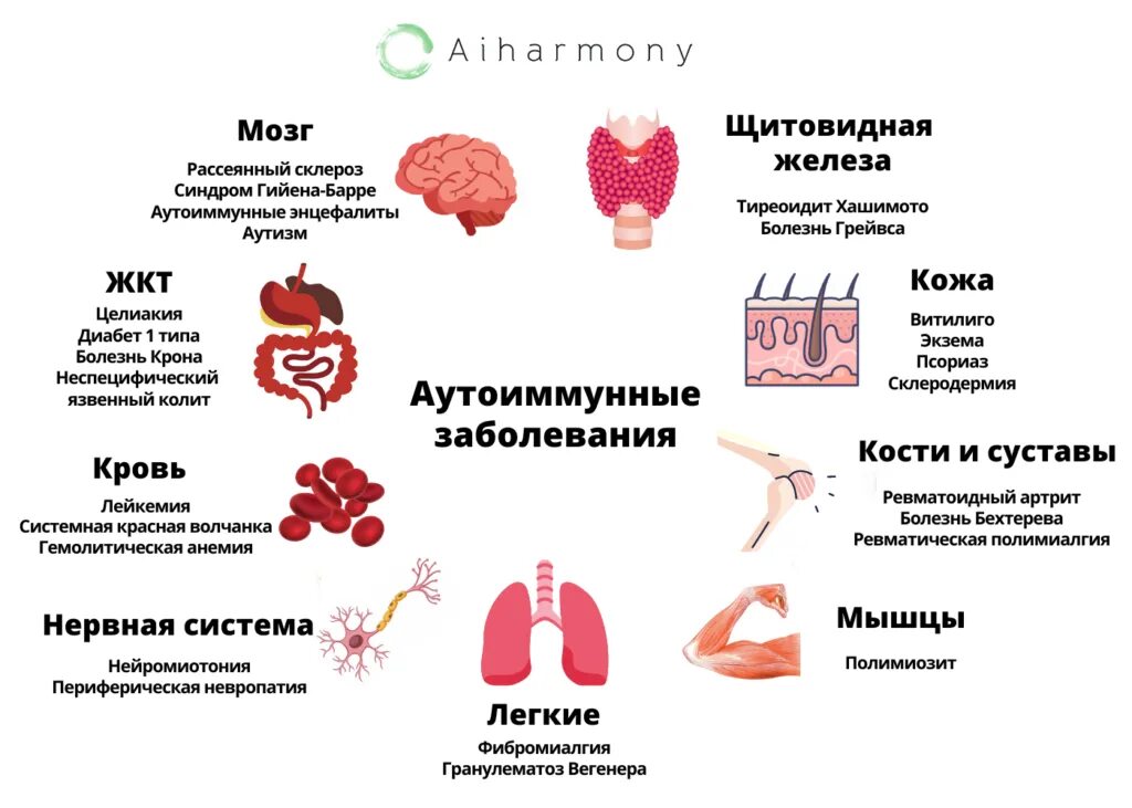 Какие больные принимает. Аутоиммунные заболевания что это. Аутоимунны езаболевания. Список аутоимунных забо. Пвтоимкнное заболевание.