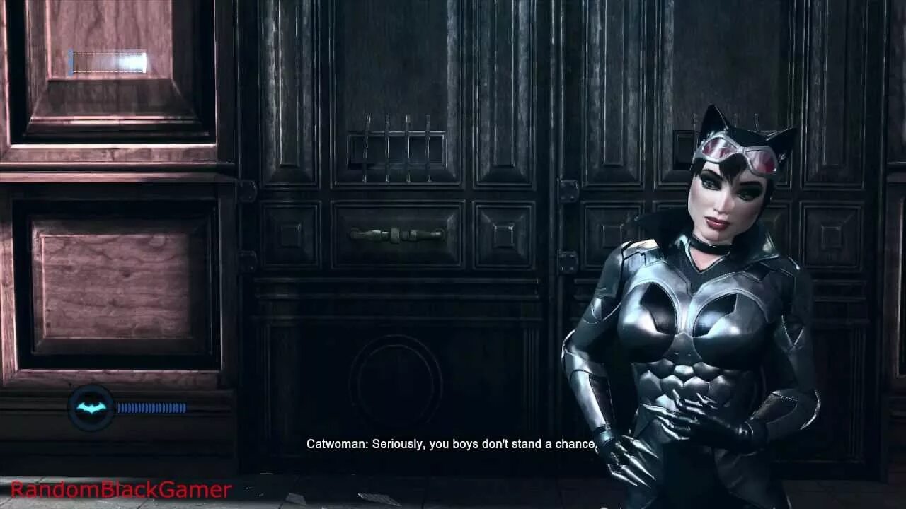 Скин женщины кошки. Бэтмен Аркхем Сити женщина кошка. Batman Arkham City Catwoman Armored Edition. Женщина кошка Аркхем кнайт. Женщина кошка Batman Arkham.