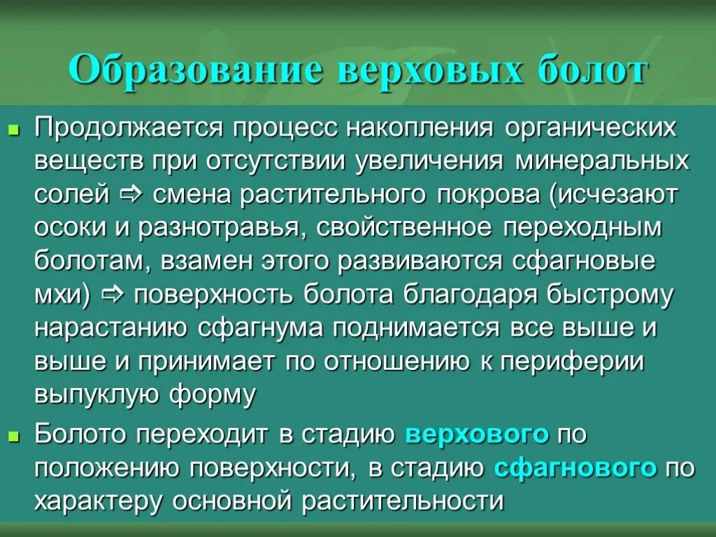 Образование болот. Образование верховых болот. Причины образования верховых болот. Схема образования болот.