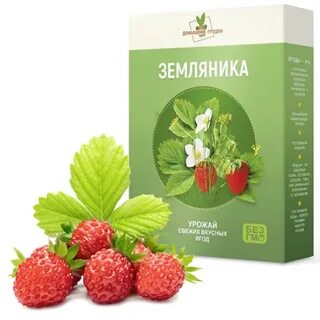 Ягодница