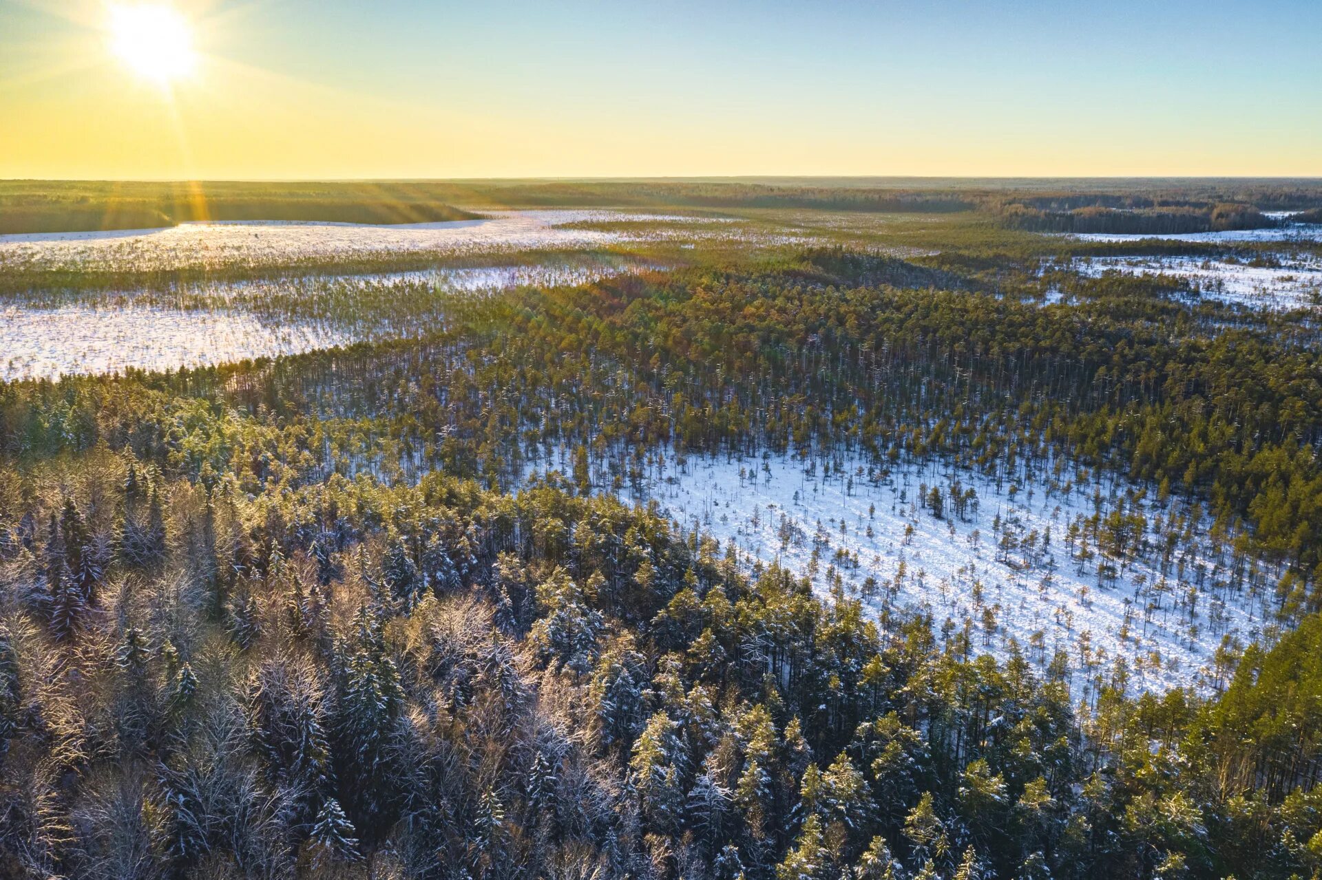 Парк нижегородское поволжье. Нижегородское поволжье. Парк нижегородское поволжье. Природа в заволжье чувашия. Вал городец.