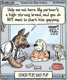 Going to ruff on the perp - Album on Imgur