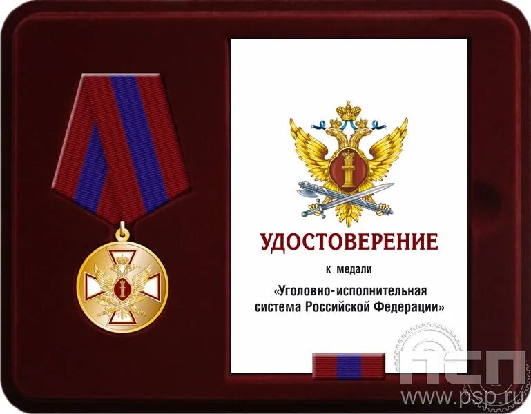 Медали уголовно исполнительной системы. Награды уис. медали фсин.