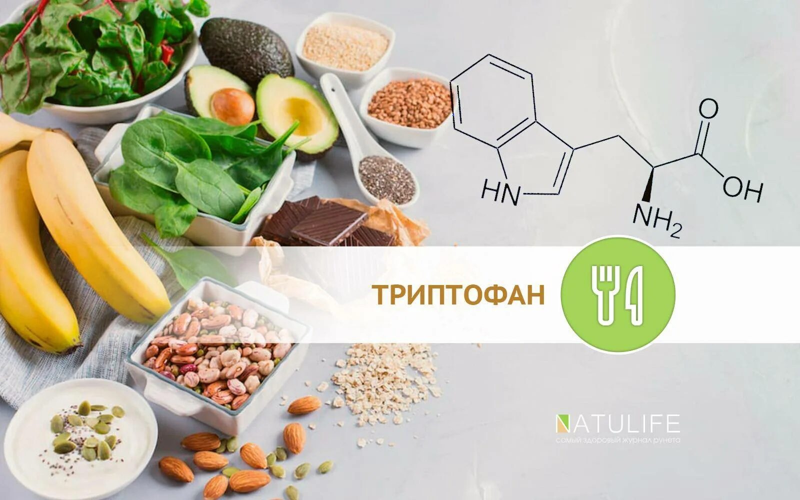 Мелатонин в каких продуктах содержится в большом. Триптофан в продуктах. продукты богатые триптофаном. продукты содержащие триптофан. продукты богатые тр птофано.